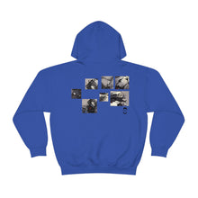 Load image into Gallery viewer, ALTH - Come on FEET - Hooded Sweatshirt